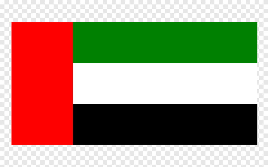 Dubai Flag